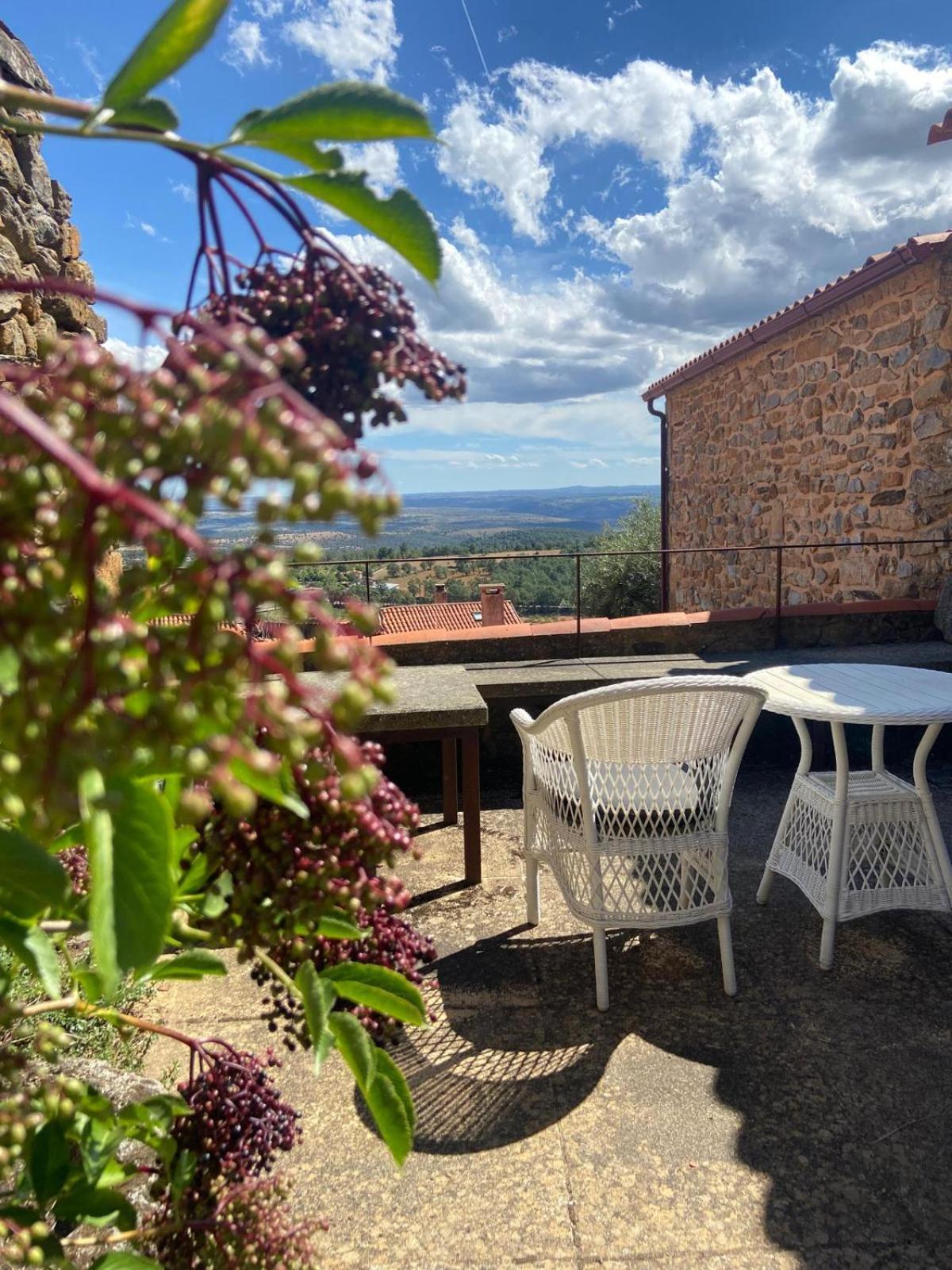 Gasthaus Casa Da Cisterna Figueira de Castelo Rodrigo Exterior foto